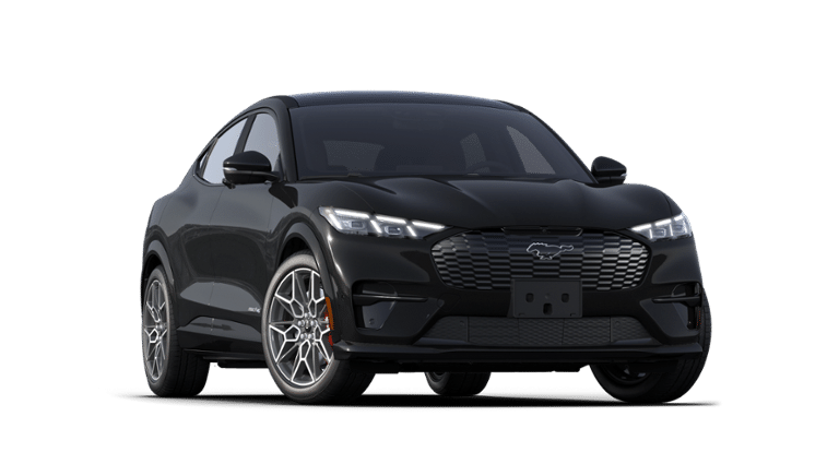 Mustang Mach-E® vehicle